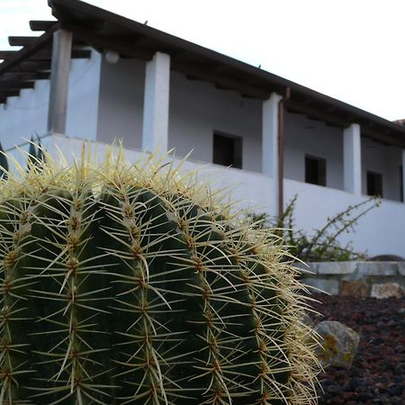 Agave Alghero Villa Fertilia Esterno foto