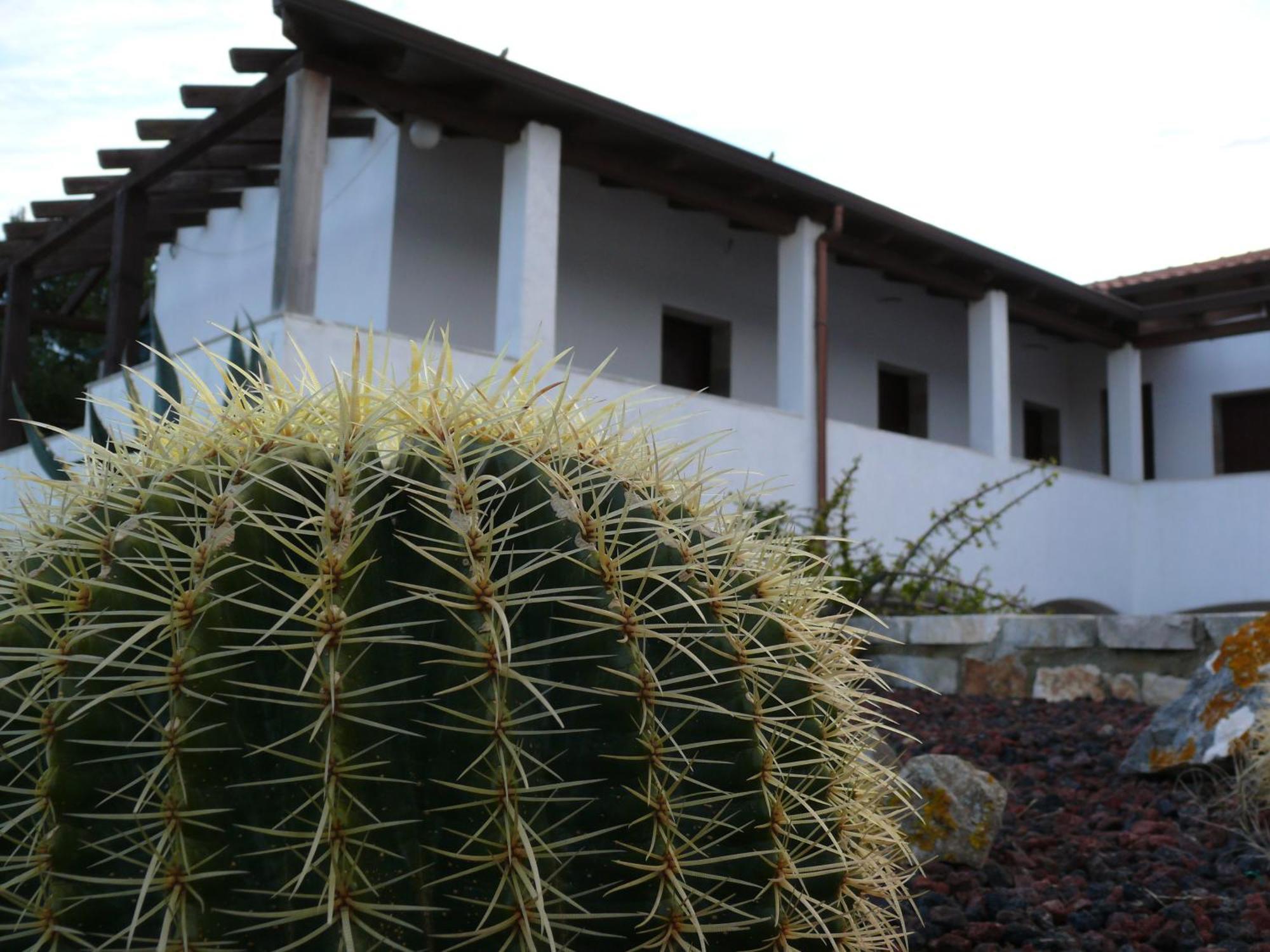 Agave Alghero Villa Fertilia Esterno foto