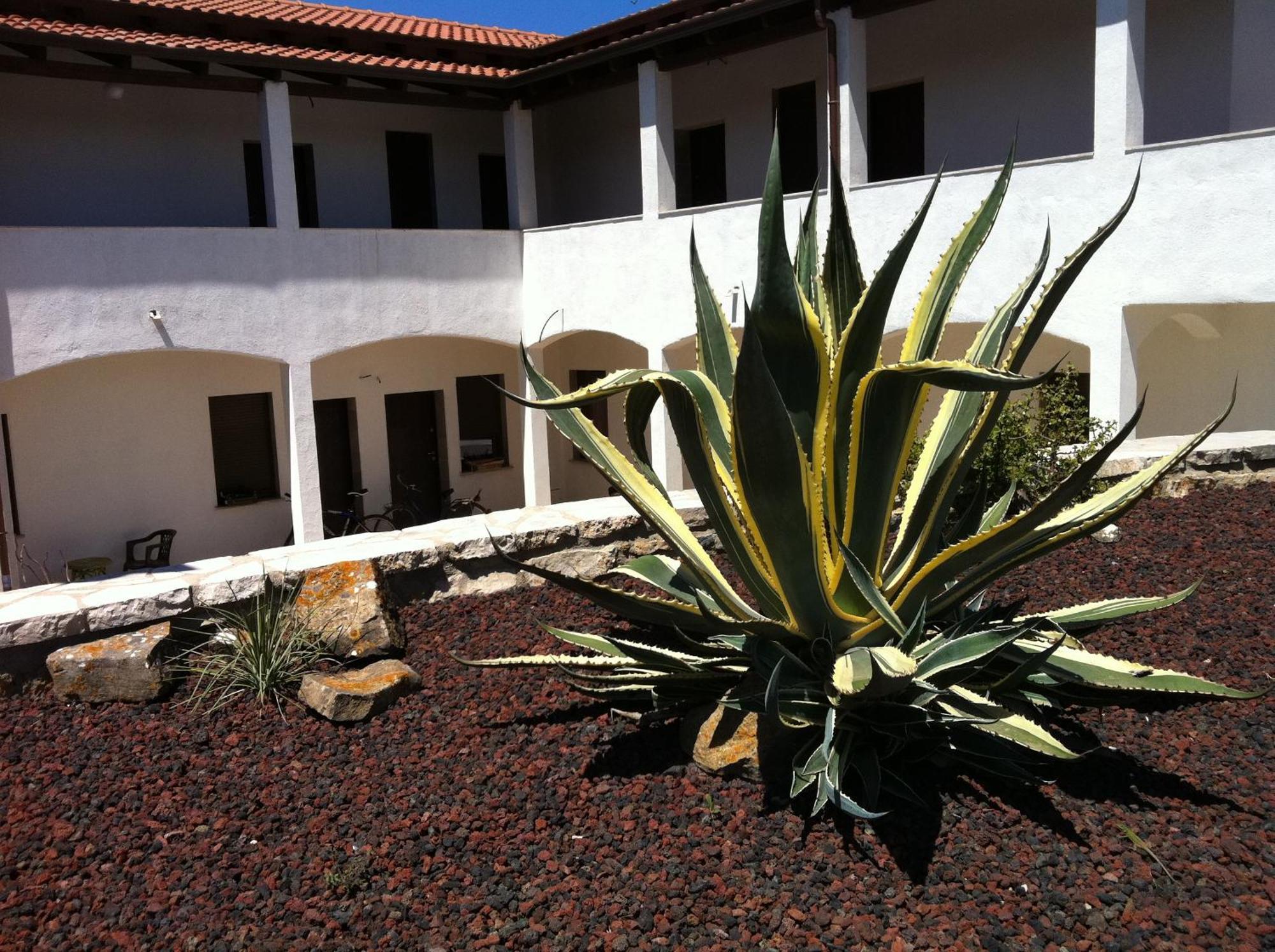 Agave Alghero Villa Fertilia Esterno foto